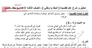 تحليل وشرح عام لقصيدة أحبك يا وطني