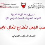 عرض بوربوينت لدرس نصب الفعل المضارع المعتل الآخر