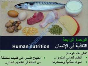 ملخص شرح درس النظام الغذائي مع حل الأنشطة (أحياء) التاسع