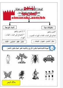 شرح وأوراق عمل درس النباتات مخلوقات حية