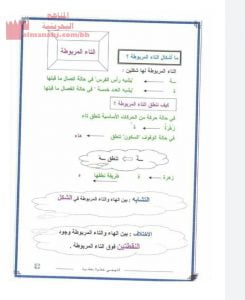 الفرق بين التاء المربوطة والهاء