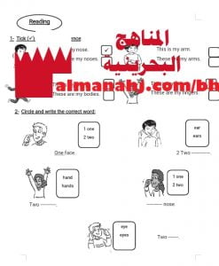 ورقة عمل (لغة انجليزية) الثاني