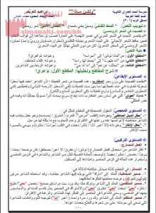 ملخص شرح درس ولكن ماذا لـ ابراهيم العرض (عرب 301) نموذج ثالث (لغة عربية) الثالث الثانوي