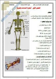 مذكرة شرح الفصل الأول (أجهزة الدعامة والحركة) (أحياء) العاشر