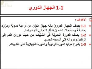 ملخص شرح درس الجهاز الدوري مع حل الأنشطة (أحياء) العاشر