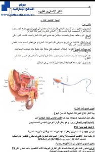 تلخيص تكاثر الإنسان وتطوره, (علوم) الثاني عشر المتقدم