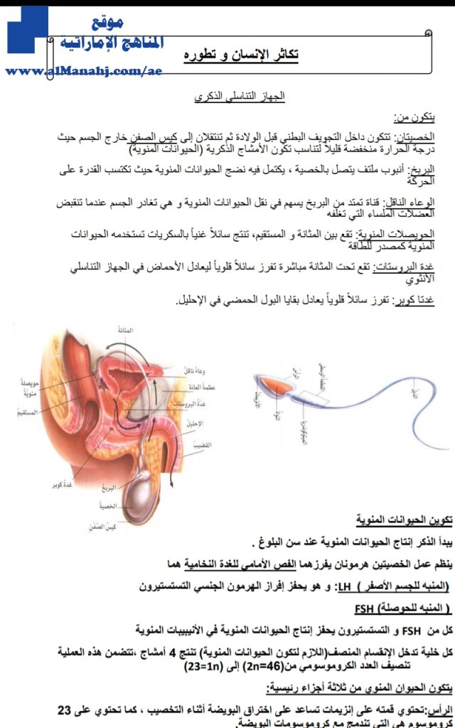 تلخيص تكاثر الإنسان وتطوره, (علوم) الثاني عشر المتقدم