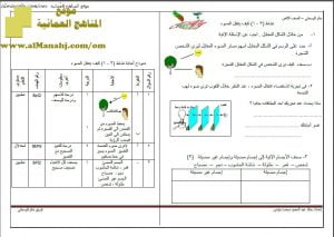 اختبار قصير نموذج 18 (منهج كامبردج) – نشاط (3-1) مع الحل (علوم) الثامن