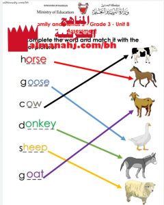 إجابة على اختبار في الوحدة الثامنة