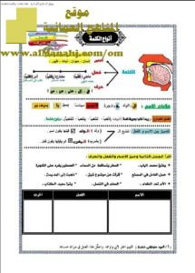 مذكرة أساسيات وقواعد نحوية وإملائية (لغة عربية) الرابع