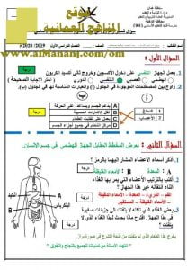 اختبار قصير نموذج 3 (علوم) السابع