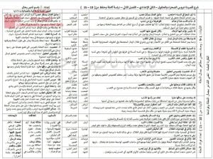 شرح قصيدة عروس الصحراء