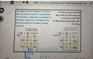 أسئلة اختبار نهاية الفصل الدراسي الثالث, (علوم) التاسع المتقدم