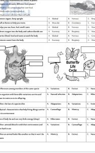مراجعة علوم, منهج انجليزي (علوم) الرابع