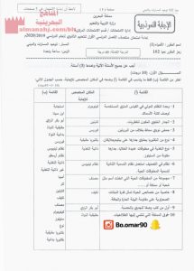 إجابة منتصف حيا 102