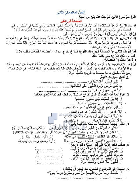 ورقة عمل (النص المعلوماتي الثاني) يتبعها الحل, (لغة عربية) الخامس