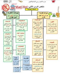 المملكة الحيوانية