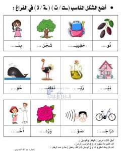ورقة عمل التاء المفتوحة والمربوطة, (لغة عربية) الأول