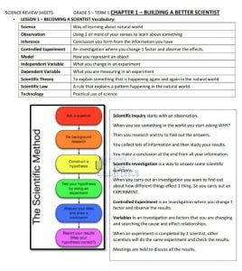 أوراق عمل ومراجعة الوحدة الأولى BUILDING A BETTER SCIENTIST مع الحل, منهج انجليزي (علوم) الخامس