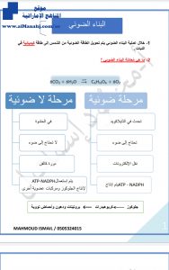 ملخص البناء الضوئي, (علوم) العاشر العام