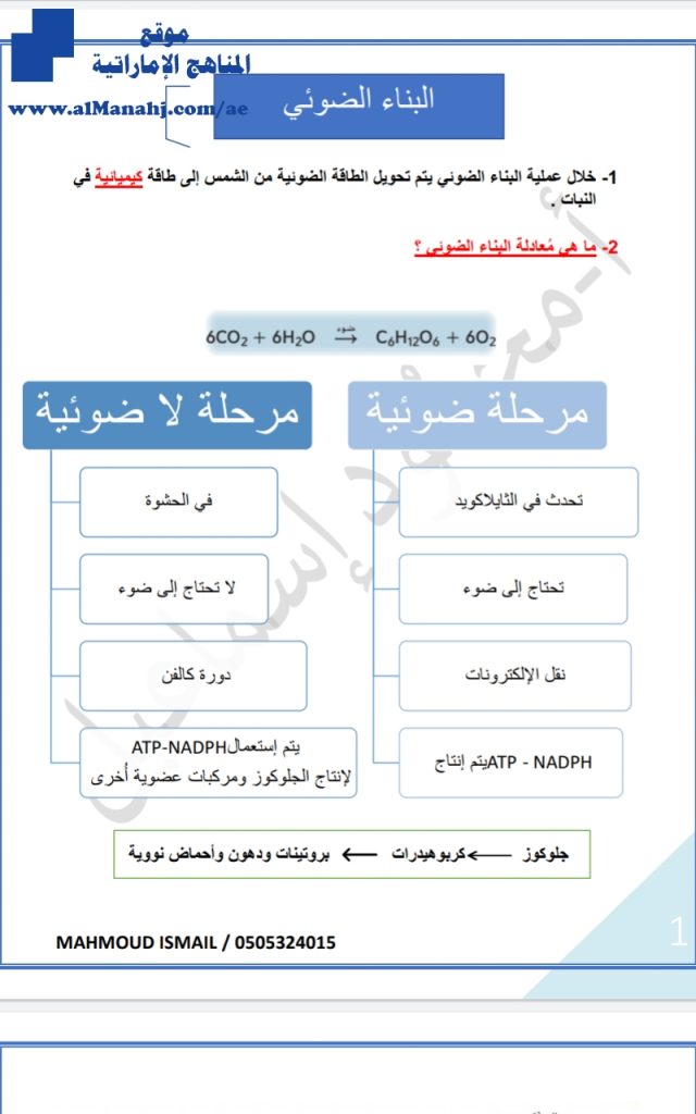 ملخص البناء الضوئي, (علوم) العاشر العام