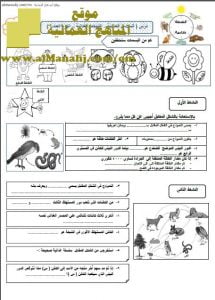أوراق عمل وأنشطة تقويمية درس (السلاسل الغذائية– الشبكات الغذائية – الهرم العددي) (علوم) السادس