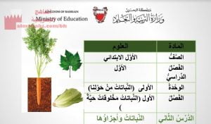 عرض بوربوينت لدرس النباتات وأجزاؤها