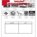 أوراق عمل الكرة الأرضية