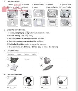 نشاط اللغة الإنجليزية 24