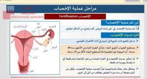 شرح درس نمو الجنين والولادة والهرم