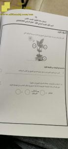 أسئلة الامتحان الرسمي الدور الأول (علوم) الثامن