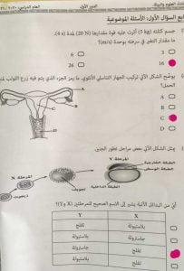 أسئلة الاختبار النهائي مع نموذج الحل (علوم وبيئة) الثاني عشر