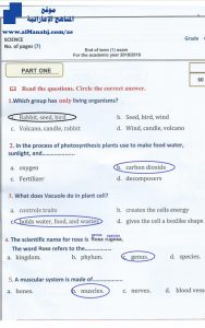 امتحان نهاية الفصل الأول ~نهج انجليزي, منهج انجليزي (علوم) الرابع