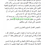 تلخيص رواية عساكر قوس قزح من الفصل 26 إلى 35, (لغة عربية) التاسع