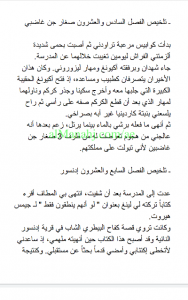 تلخيص رواية عساكر قوس قزح من الفصل 26 إلى 35, (لغة عربية) التاسع