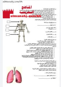 مذكرة أسئلة والحل (علوم) السادس