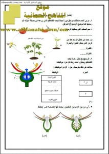 اختبار قصير نموذج 3 (منهج كامبردج) (علوم) الخامس