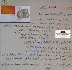 ملخص شرح درس تكوين الأمشاج (علوم وبيئة) الثاني عشر