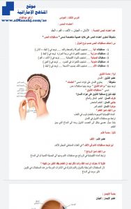 الدرس الثالث الحواس, (علوم) العاشر العام