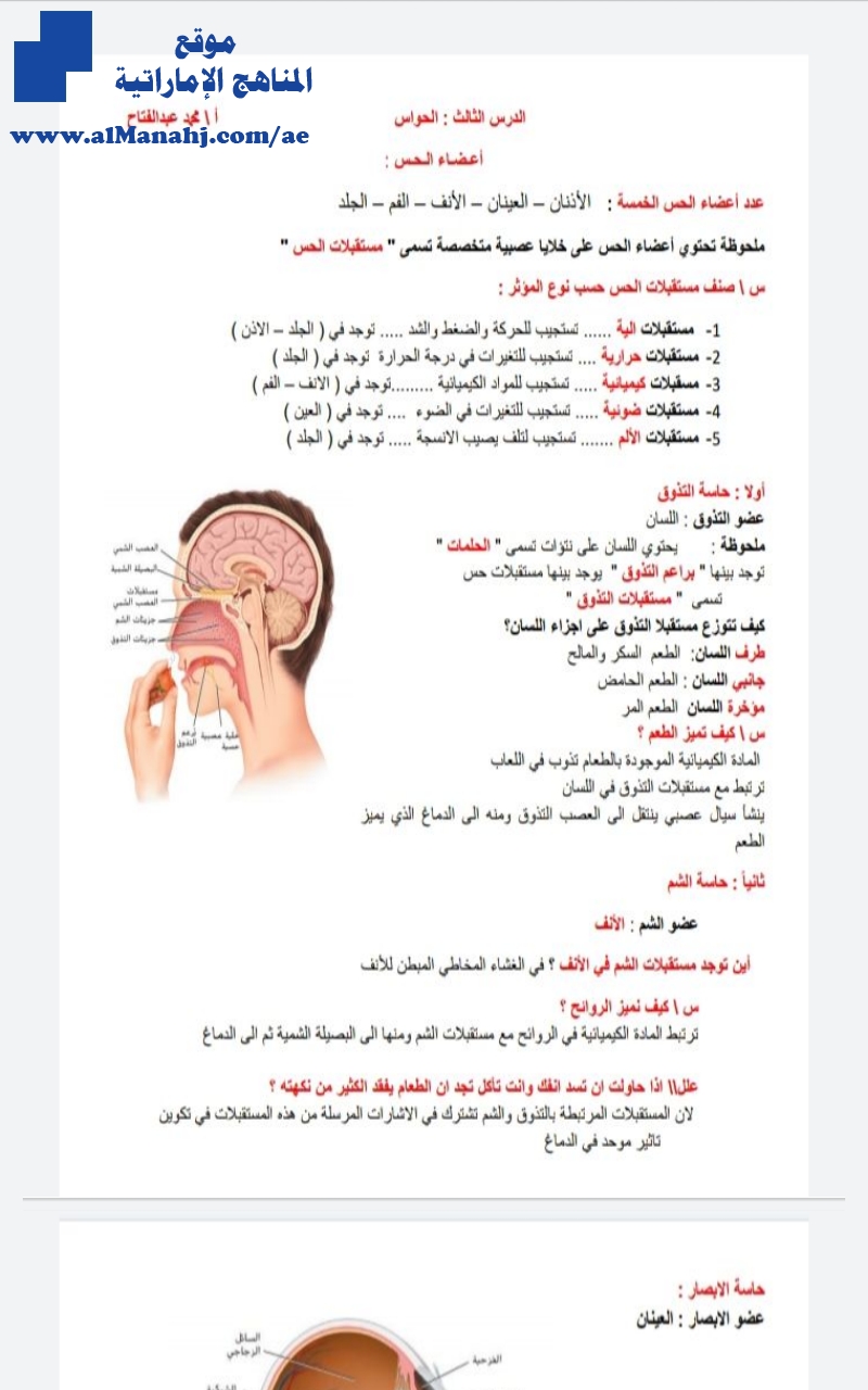 الدرس الثالث الحواس, (علوم) العاشر العام