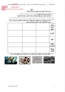 أسئلة مراجعة لدرس عمليات الحياة عند المخلوقات الحية الدقيقة