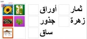 نشاط الكتروني في درس أجزاء النبات (علوم) الأول