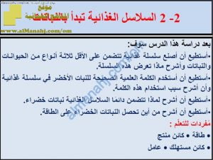 ملخص شرح درس السلاسل الغذائية تبدأ بالنباتات مع حل الأنشطة (علوم) السادس