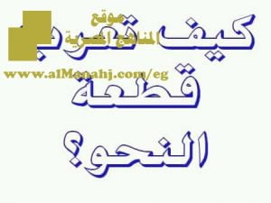 كيف تعرب قطعة النحو للمرحلة الإبتدائية