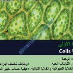 ملخص شرح درس خصائص الكائنات الحية مع حل الأنشطة (أحياء) التاسع