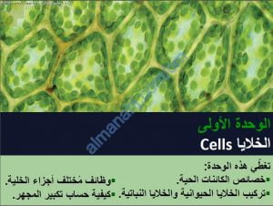 ملخص شرح درس خصائص الكائنات الحية مع حل الأنشطة (أحياء) التاسع