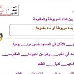 نشاط تدريبي التمييز بين التاء المربوطة والتاء المفتوحة (لغة عربية) الثاني