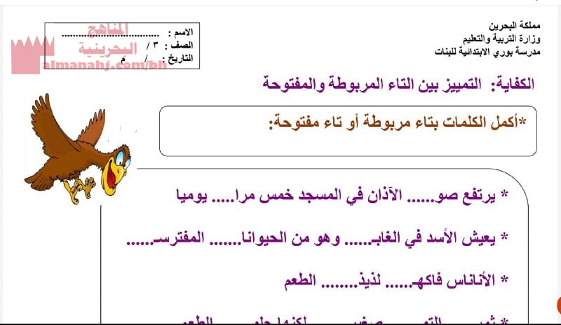 نشاط تدريبي التمييز بين التاء المربوطة والتاء المفتوحة (لغة عربية) الثاني