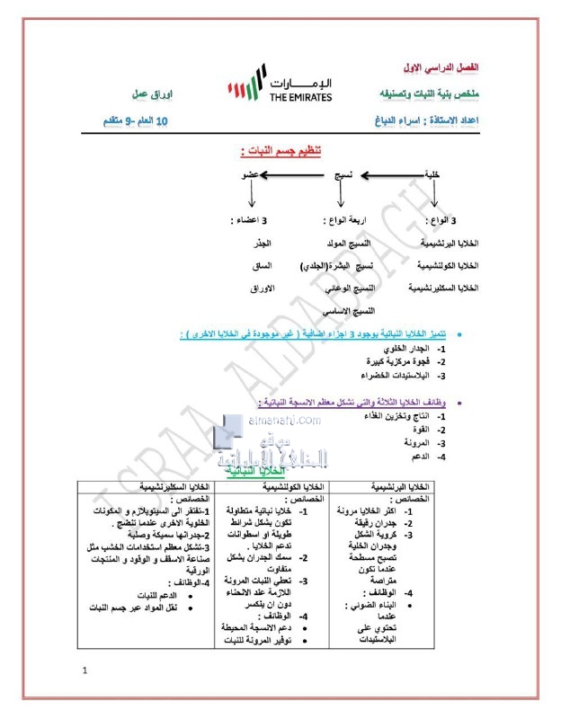 ملخص وأوراق عمل بنية النبات وتصنيفه, (علوم) التاسع المتقدم
