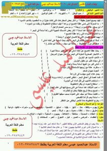 اسئلة متوقعة لامتحان فصل أول